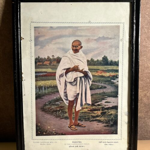 Vintage Mahatma Gandhi – In the Green Corn Field | Framed Indian Art Print